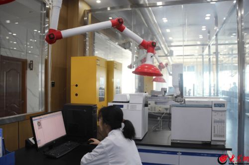走進南極維康透明工廠 高拍儀下的健康食品生產之旅
